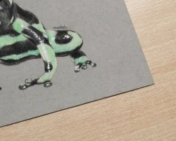 A5 Green & Black Poison Dart Frog Art Print | Graphite and Coloured Pe