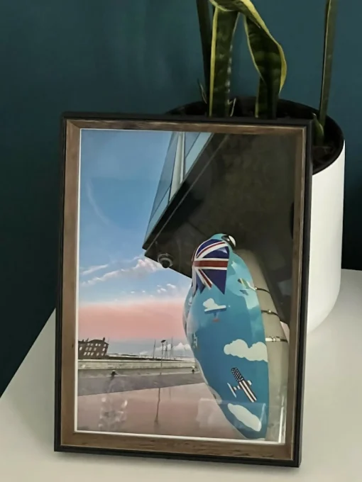 Amy's Tiger Moth Flying High