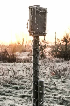 Barbed Wire - A4 mounted