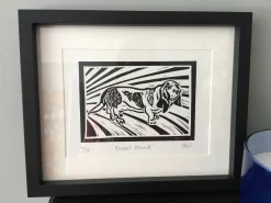 Basset Hound With Mottled Markings