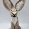Benji Bunny