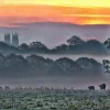 Beverley Minster Sunrise over Beverley Westwood