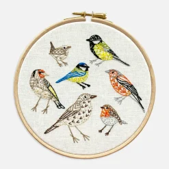 Bird Species Embroidery Kit