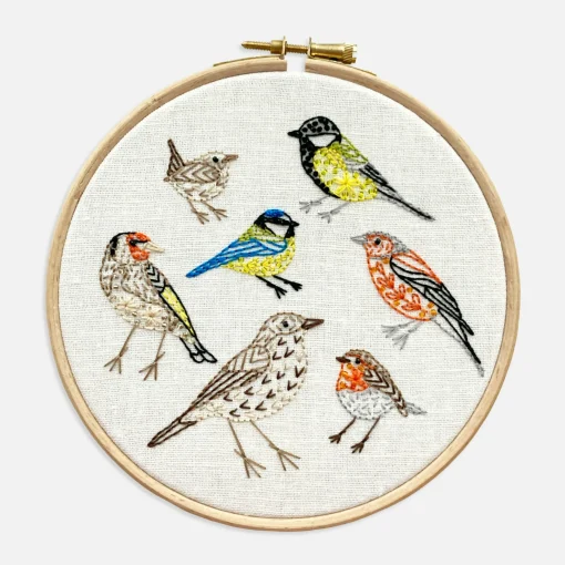 Bird Species Embroidery Kit