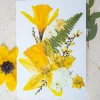Birth Flower Greetings Card January - June