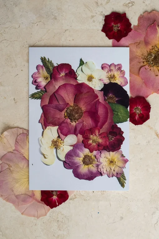 Birth Flower Greetings Card January - June