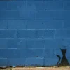 Blue cat - card