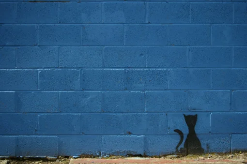 Blue cat - card