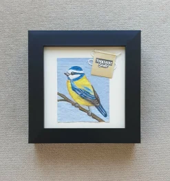 Blue Tit