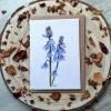 Bluebell plantable wildflower card