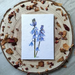 Bluebell plantable wildflower card