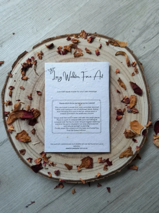 Bluebell plantable wildflower card