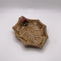 Brown Leaf with House
