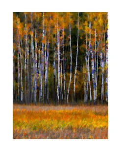 Canadian Forest
