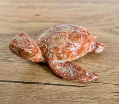 Ceramic Sea Creatures