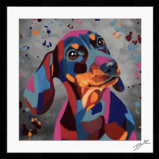 DACHSHUND DOG COLOUR SPLASH FRAMED ARTWORK.