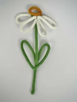 Daisy