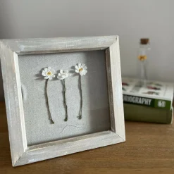 Daisy Framed Flowers