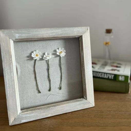Daisy Framed Flowers