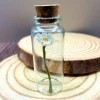 Daisy Jar