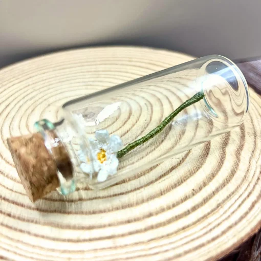 Daisy Jar