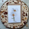 Daisy plantable wildflower card