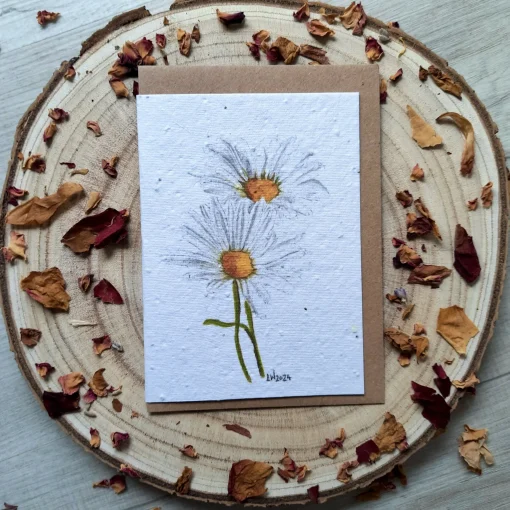 Daisy plantable wildflower card