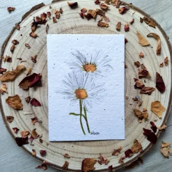 Daisy plantable wildflower card