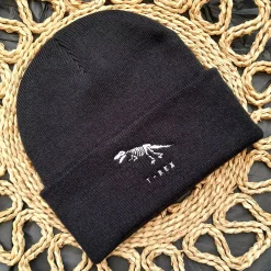 Dinosaur Beanies