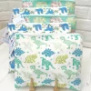 Dinosaur Wash bag