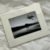Dragon Over Bamburgh - Medium