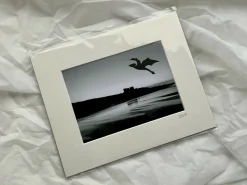 Dragon Over Bamburgh - Medium