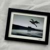 Dragon over Bamburgh - Small
