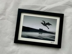 Dragon over Bamburgh - Small