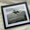 Dragon Over Misty Mountains - Large