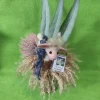 Ewey, by Chrissy