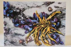 Exposed By The Ebb - Greetings Card