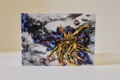 Exposed By The Ebb - Greetings Card