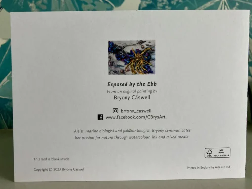 Exposed By The Ebb - Greetings Card