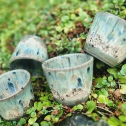 Foresty Cups