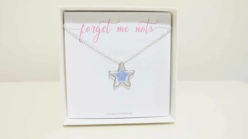 Forget Me Not Silver Plated Star Necklace