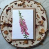 Foxglove plantable wildflower card