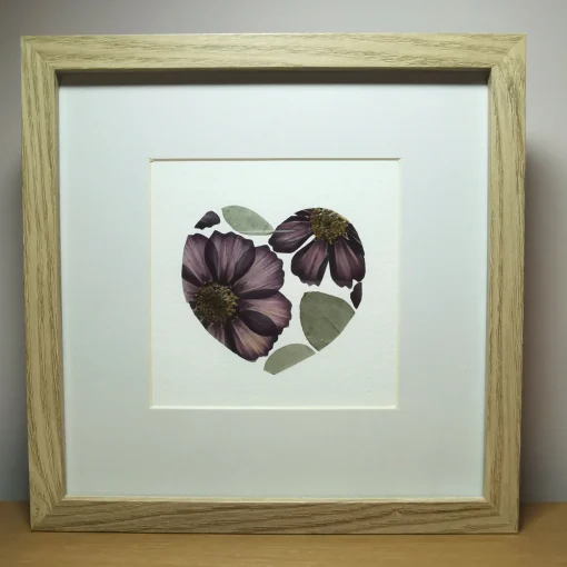 Framed Pressed Cosmos