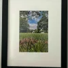 Fun Guys In Pearson's Park ( frame 29x35.5)
