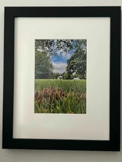 Fun Guys In Pearson's Park ( frame 29x35.5)