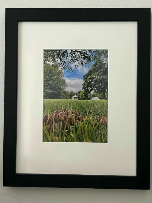 Fun Guys In Pearson's Park ( frame 29x35.5)