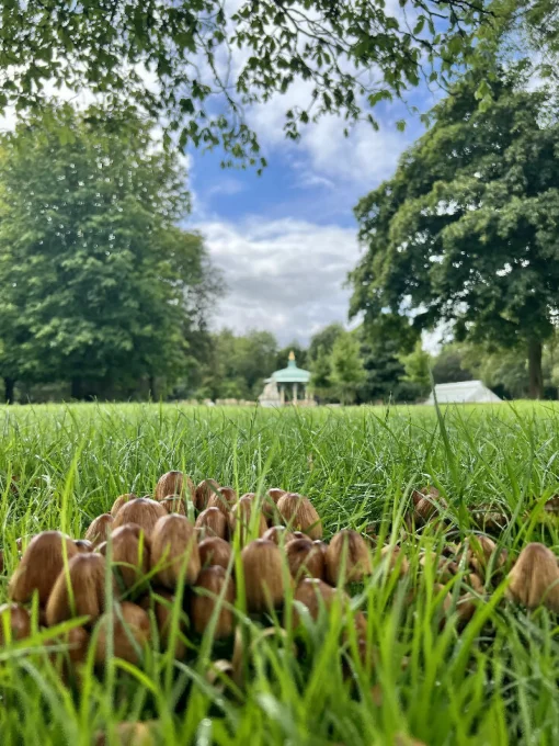 Fun Guys In Pearson's Park ( frame 29x35.5)