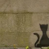 Graffiti cat - print in A4 mount