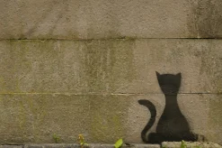 Graffiti cat - print in A4 mount