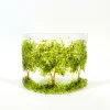 Green Trees Glass Arch